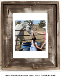 horse trail rides near me in Lake Zurich, Illinois